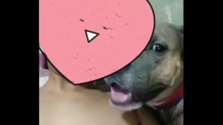 นอนแก้ผ้าให้หมาเลียหี แนวคนเย็ดกับหมาที่หาดูยาก Animal sex